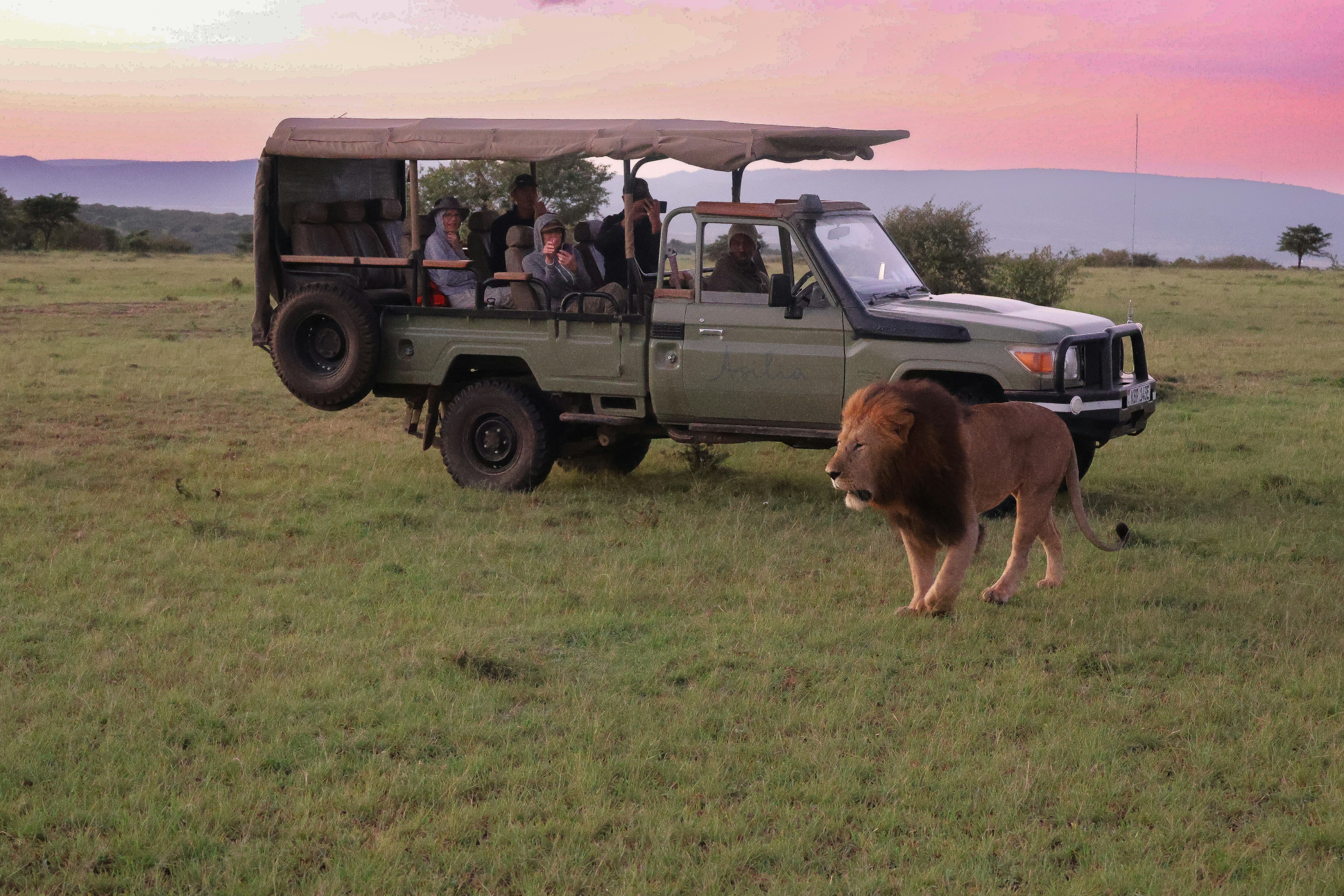 Luxury safari lodge with plains view — first safari