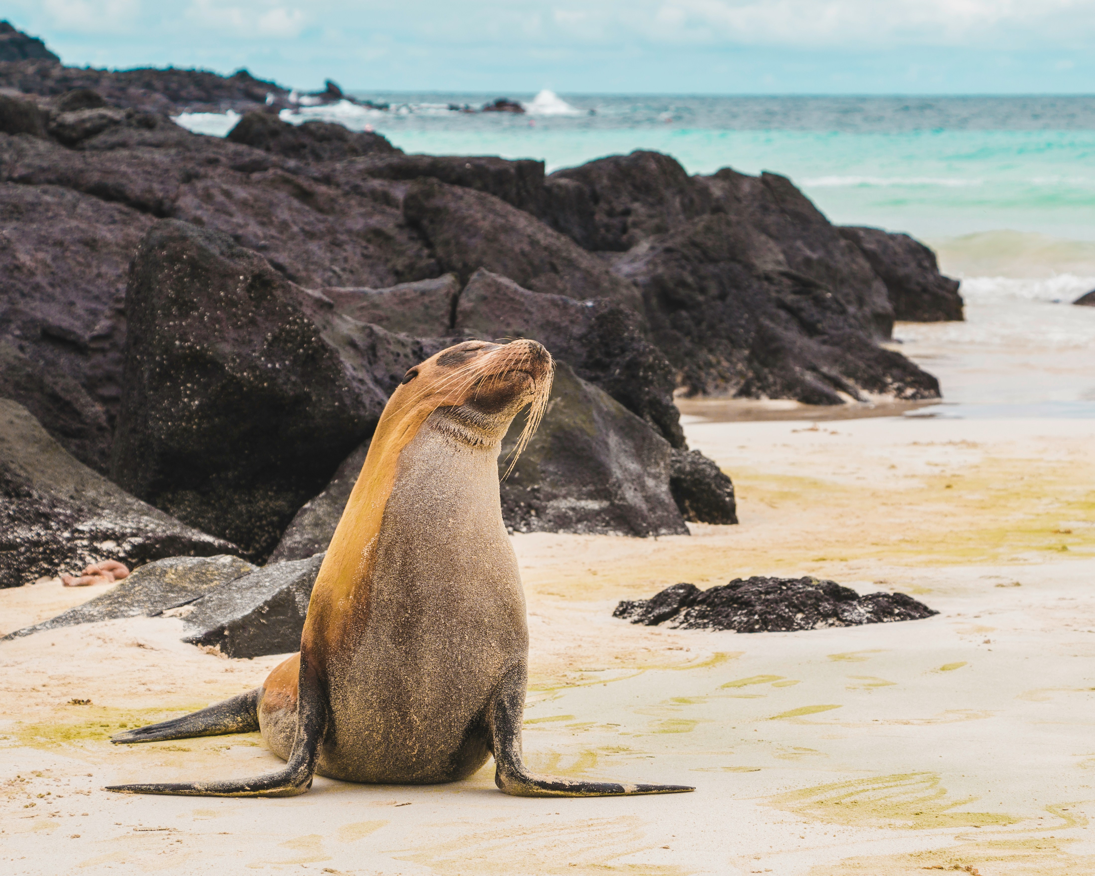 Wildlife landscape — Galápagos for families