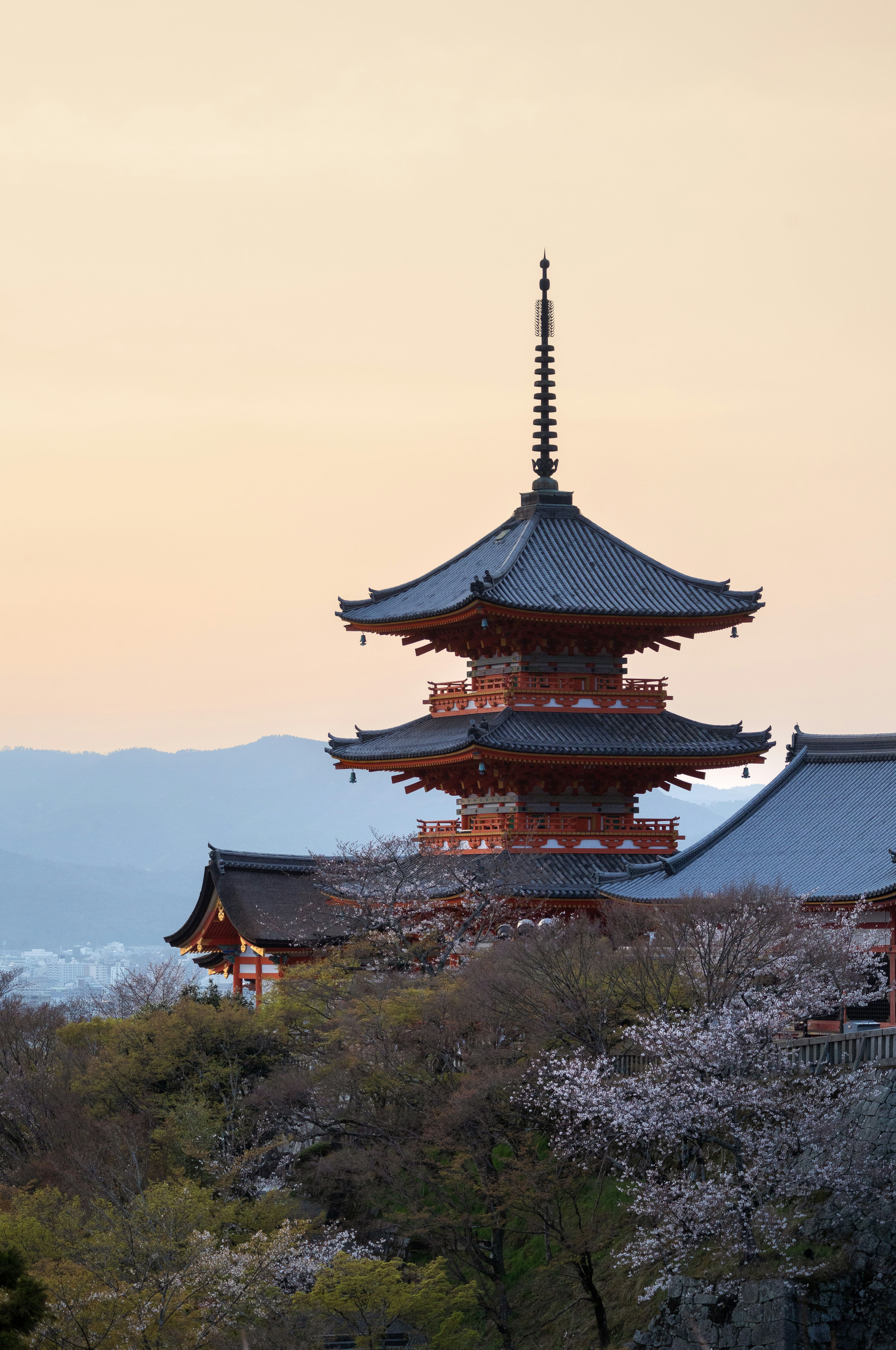 Japan & Asia