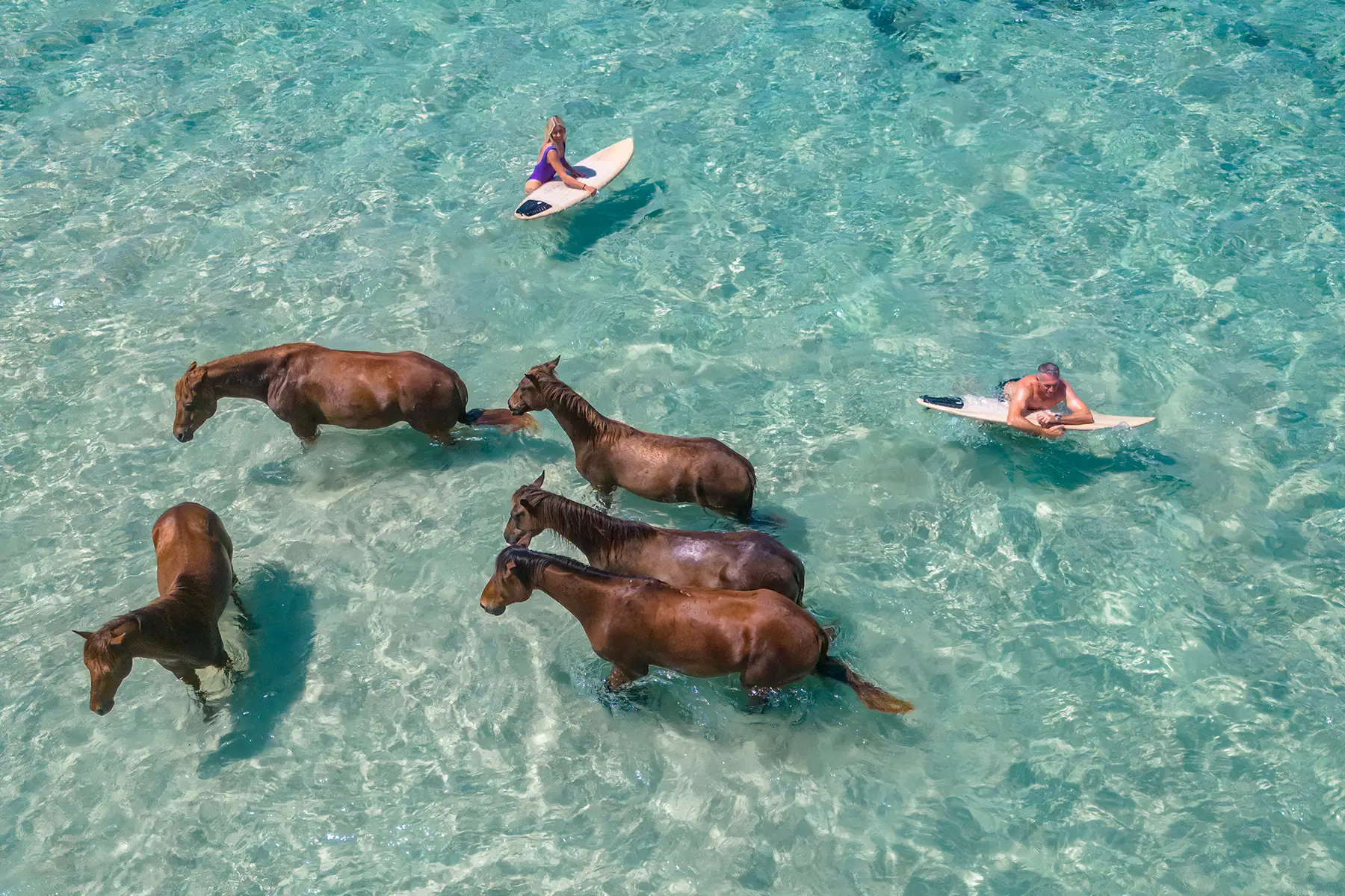 Wild remote island resort — Nihi Sumba wild luxury